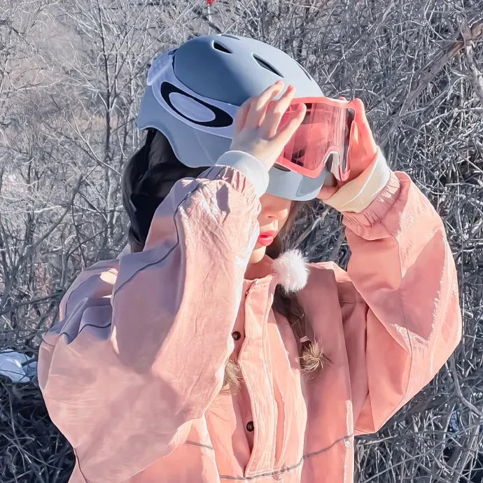 蔡李佛拳